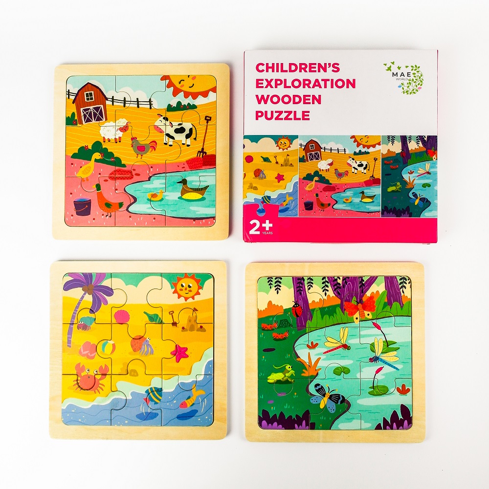 Children's Exploration Wooden Puzzle