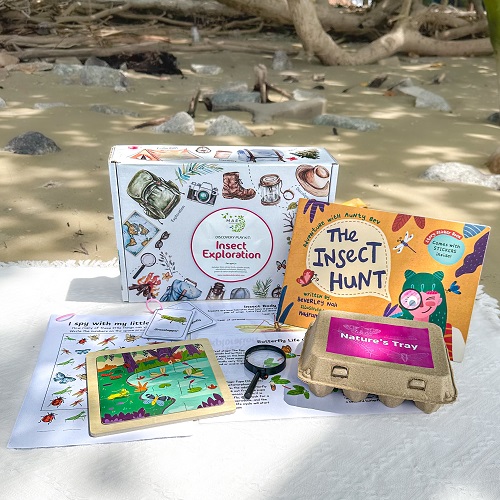 Discovery Play Kit : Insect Exploration