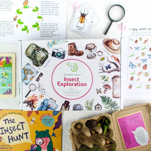 Discovery Play Kit : Insect Exploration