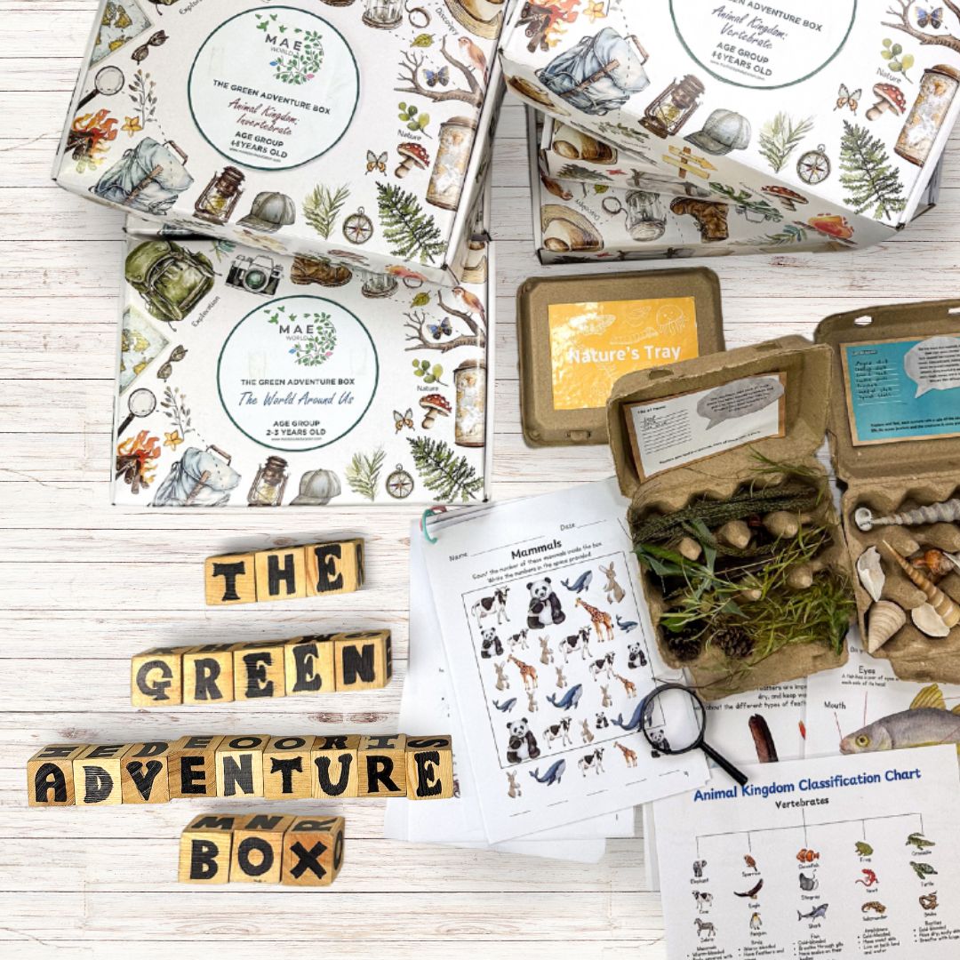 The Green Adventure Box