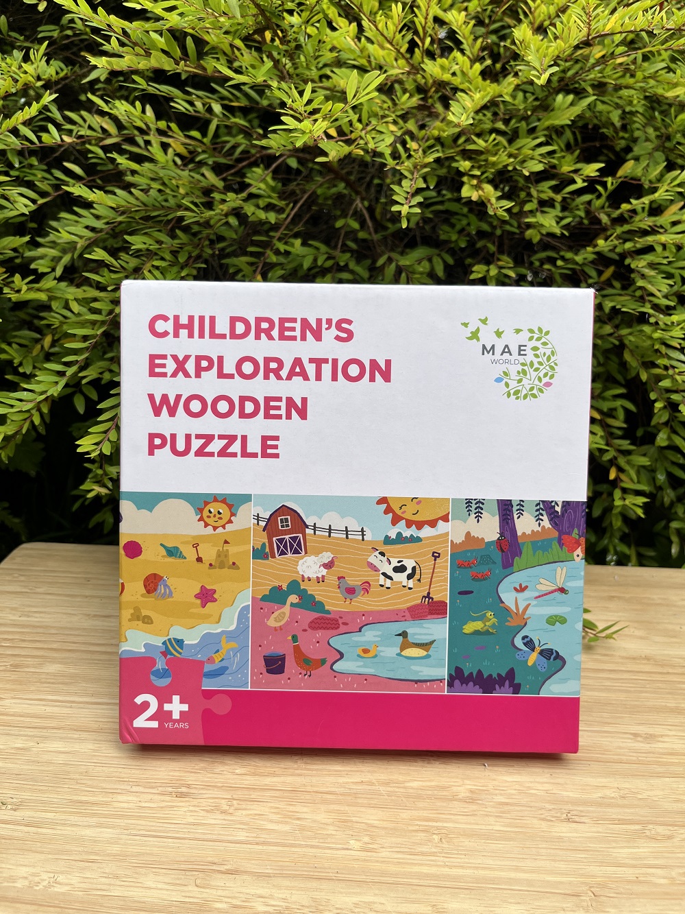 Children's Exploration Wooden Puzzle